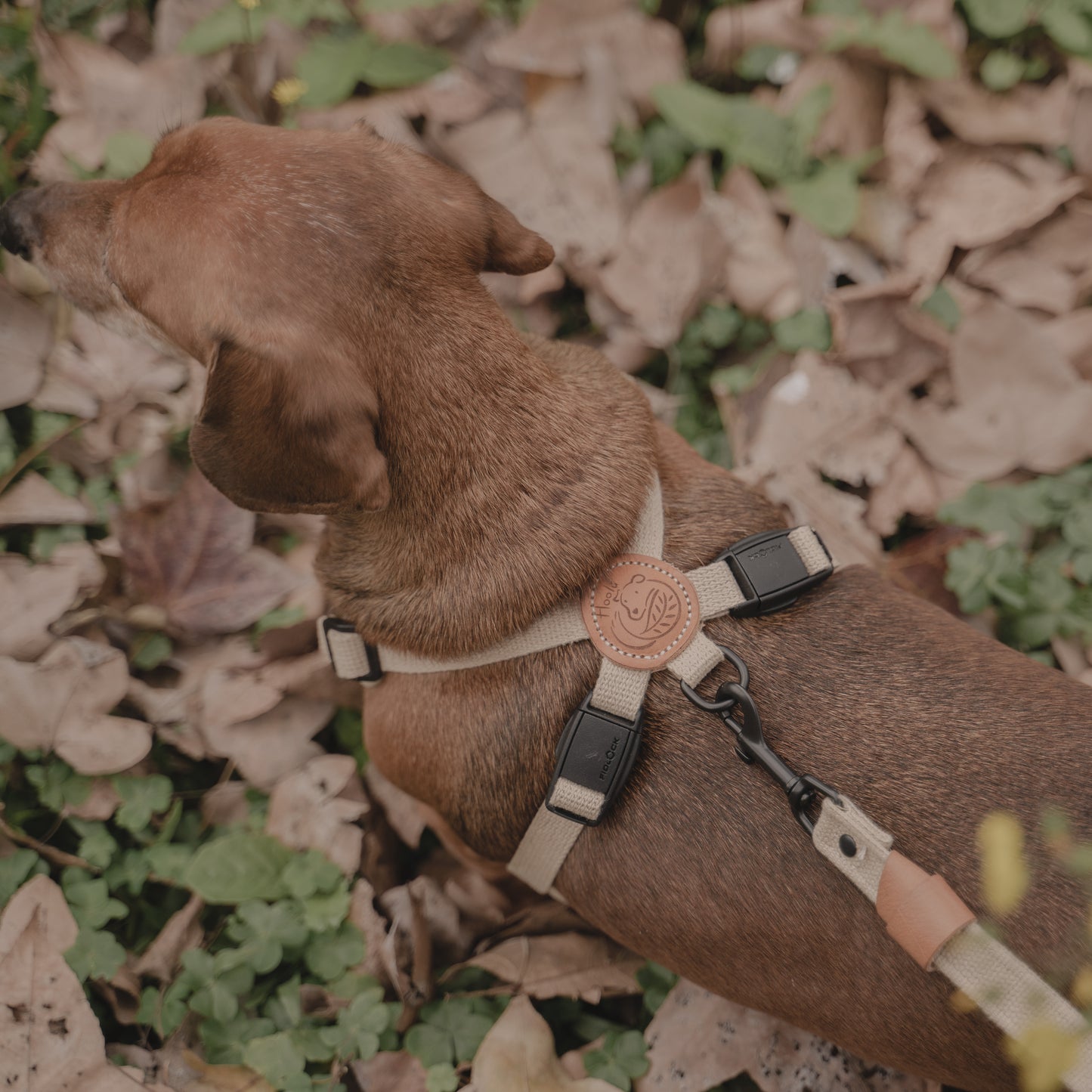 素喜快扣胸背帶 S