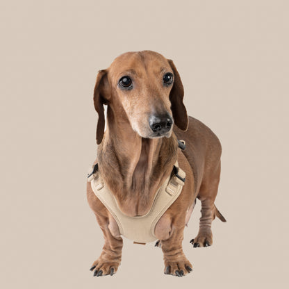 素喜快扣胸背帶 S