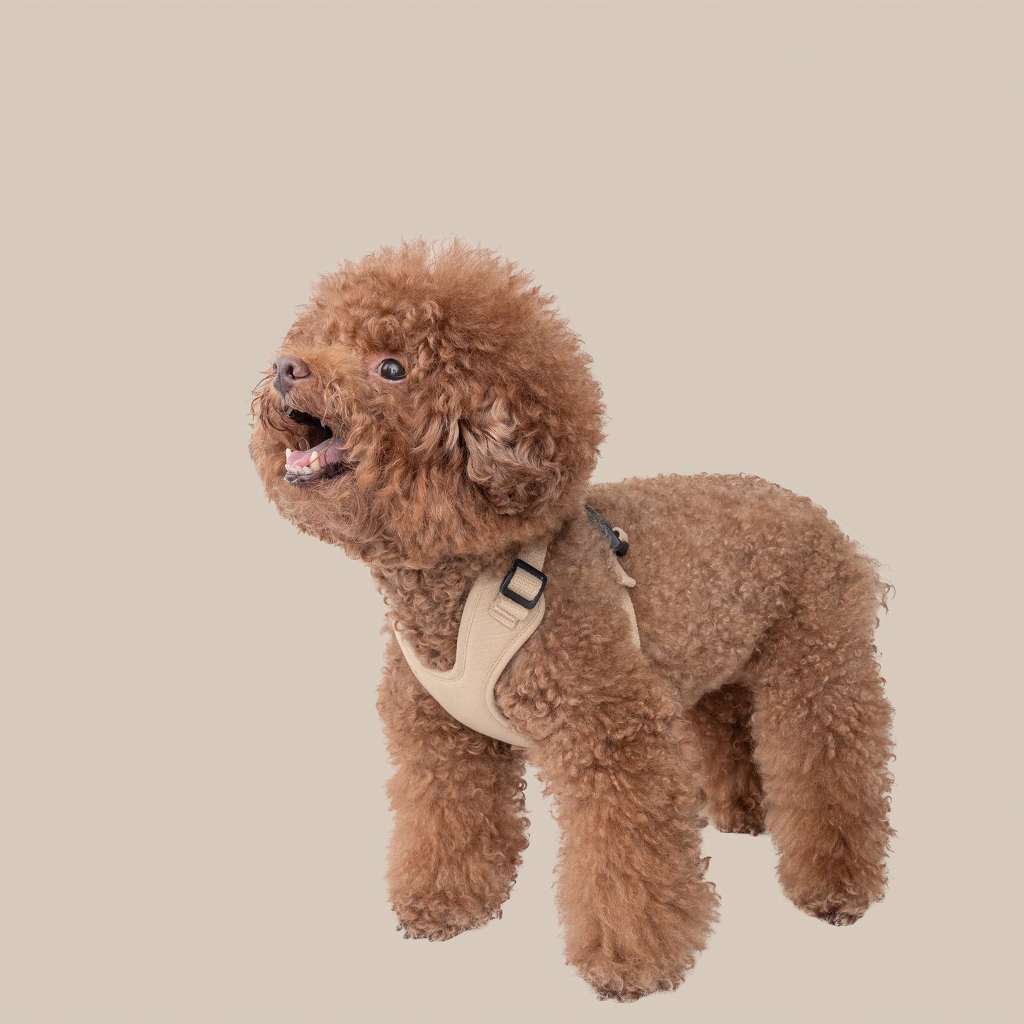 素喜快扣胸背帶 S