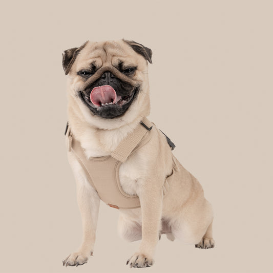 素喜快扣胸背帶 M