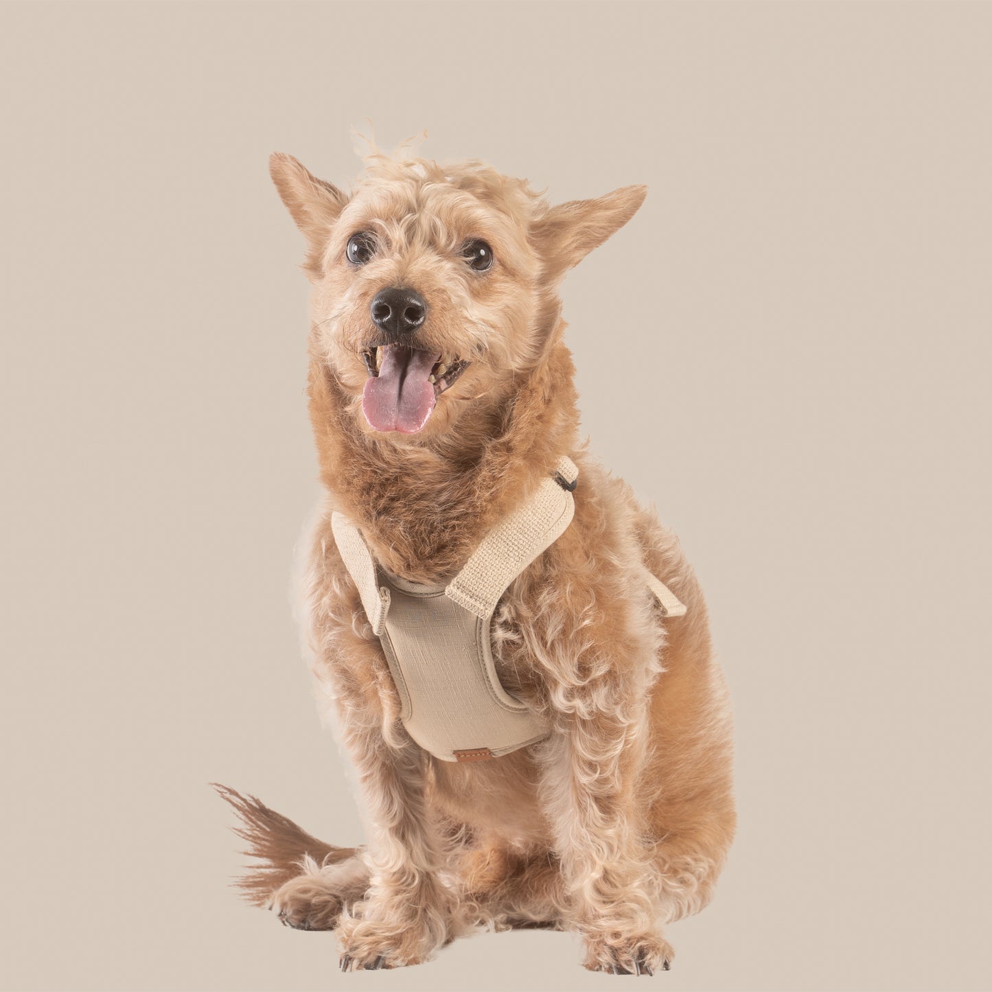 素喜快扣胸背帶 M