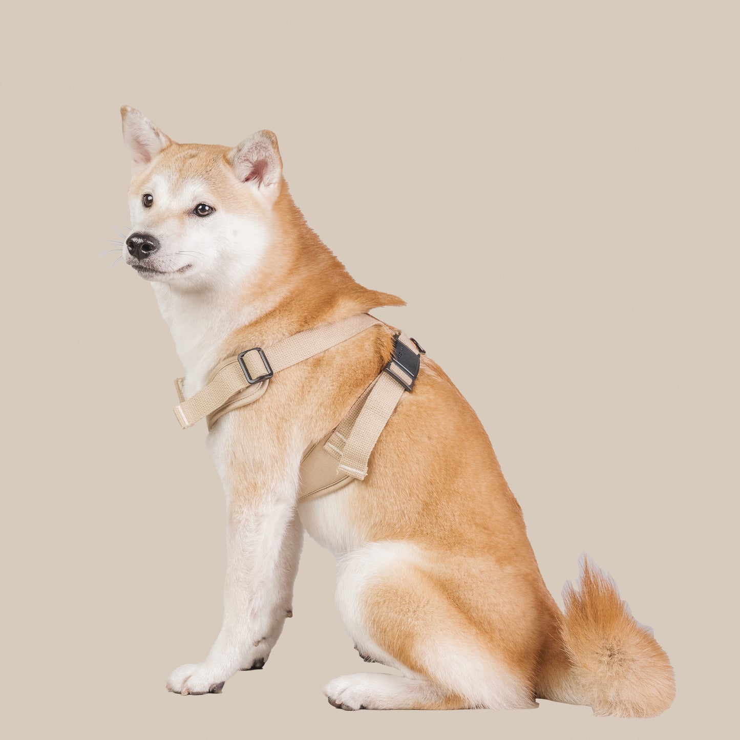 素喜快扣胸背帶 M