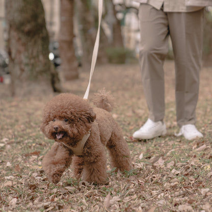 素喜快扣胸背帶 S