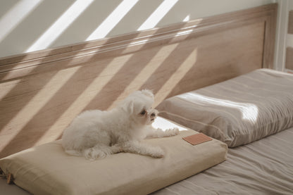 素喜好眠睡墊 L