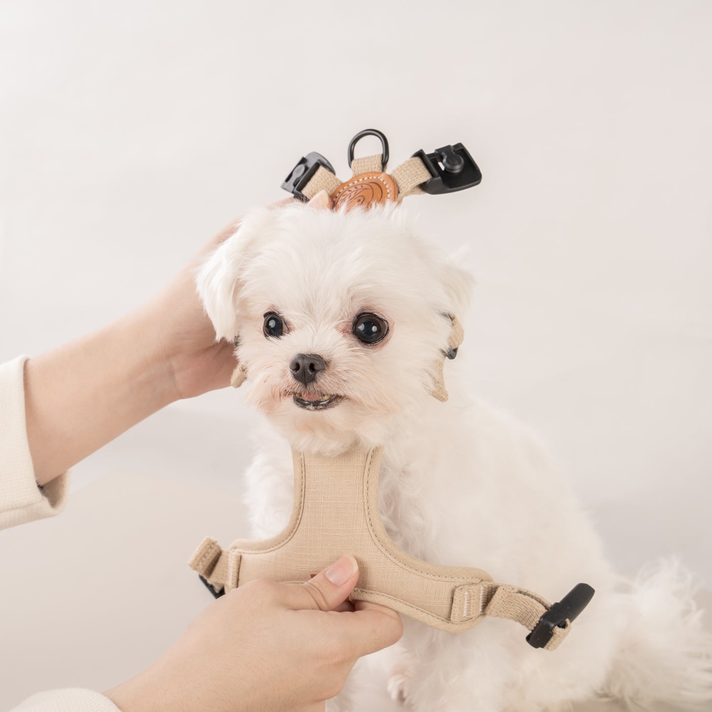 素喜快扣胸背帶 XS