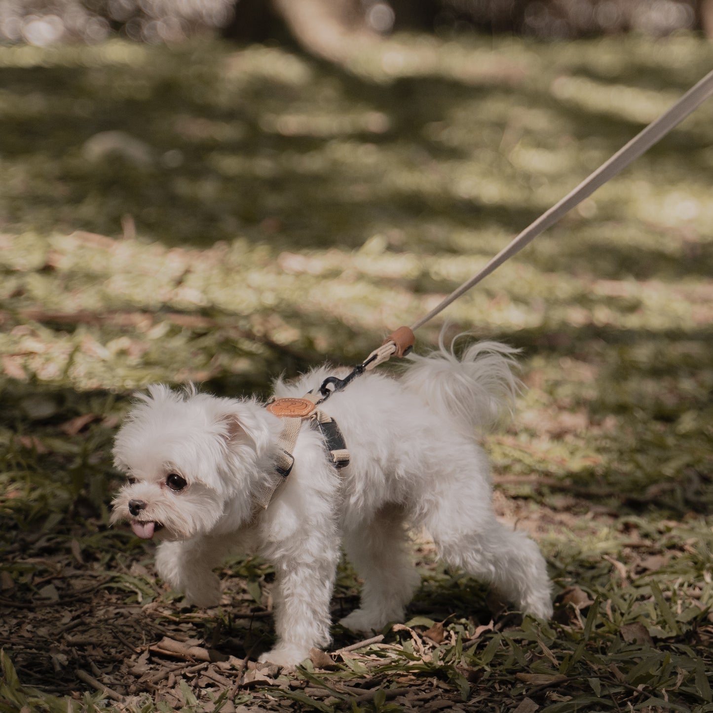 素喜快扣胸背帶 XS