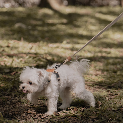 素喜快扣胸背帶 XS