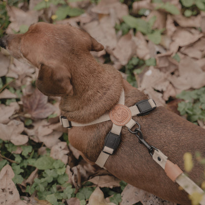 素喜快扣胸背帶 S