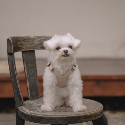 素喜快扣胸背帶 XS