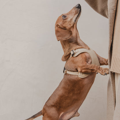 素喜快扣胸背帶 S