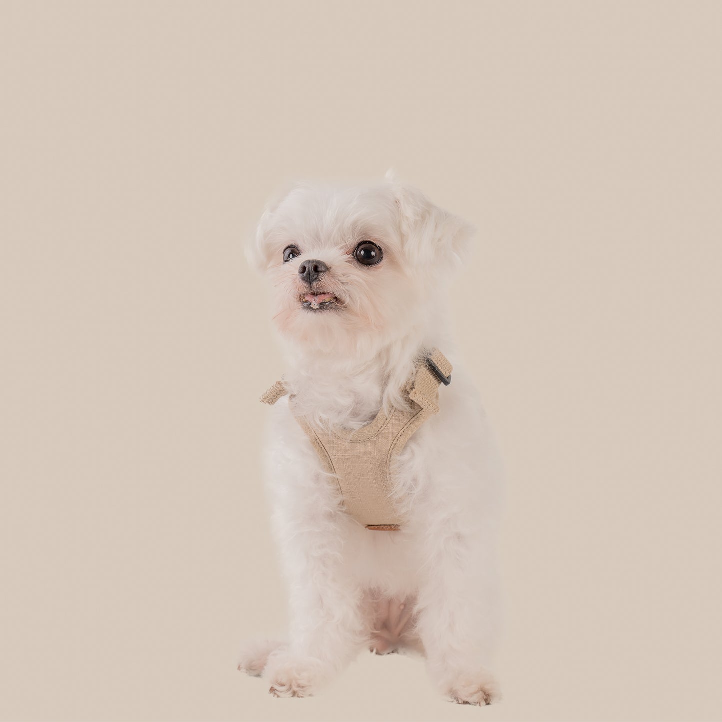 素喜快扣胸背帶 XS